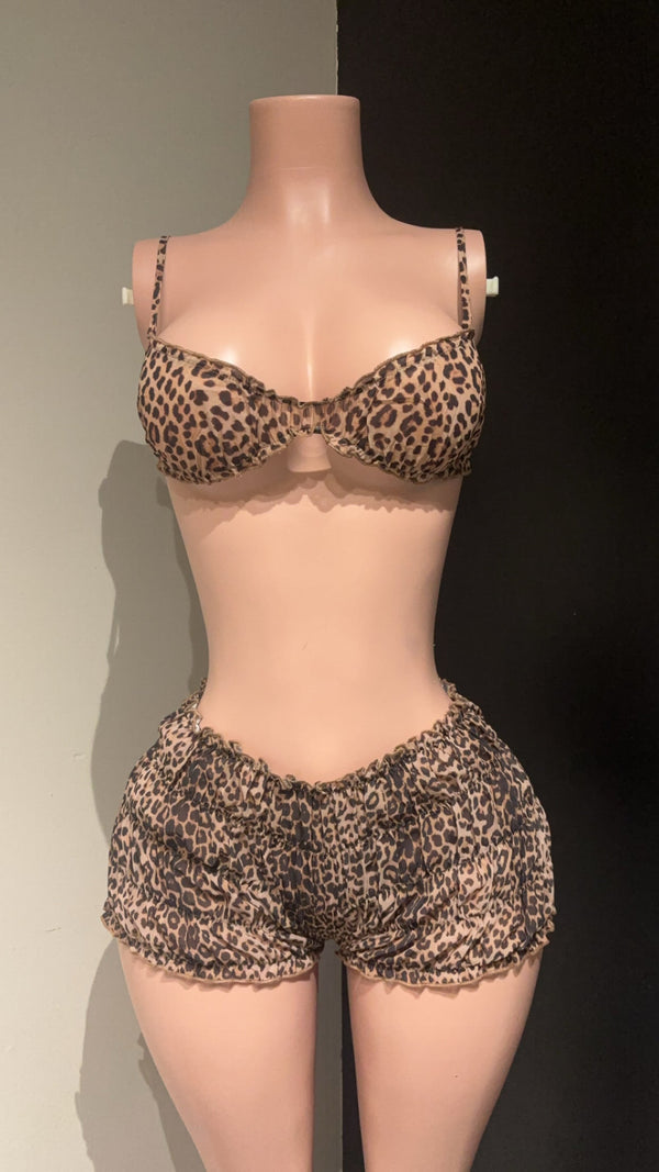 Leopard Sheer