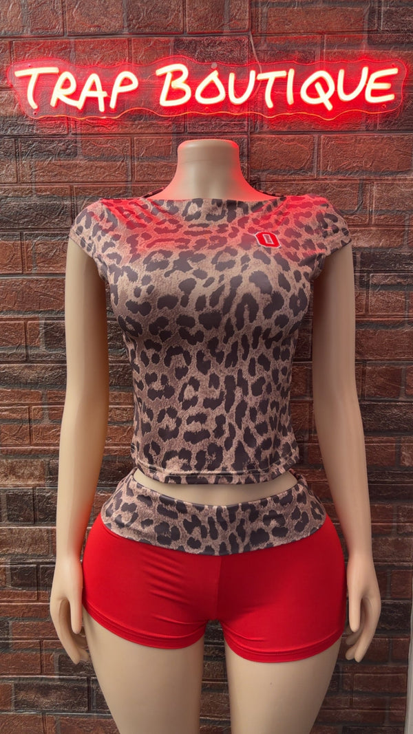 Leopard Set